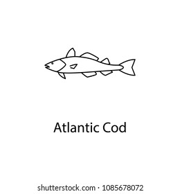 atlantic cod icon. Element of marine life for mobile concept and web apps. Thin line atlantic cod icon can be used for web and mobile. Premium icon on white background