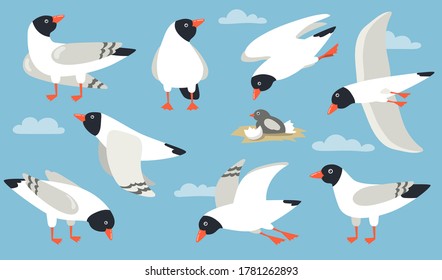 Atlantic gull set. Cartoon sea bird flying in sky, hatching, standing, pecking. Cartoon illustration for beach seagull, wildlife, seaside, port concept
