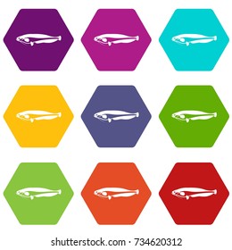 Atlantic mackerel, Scomber scombrus icon set many color hexahedron isolated on white vector illustration