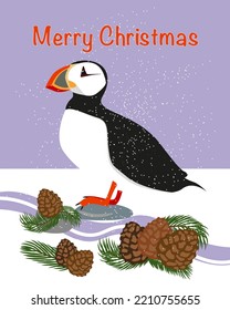 Atlantic Puffin Standing on the Rocks in snowy winter Christmas , Pine-tree branch, Pinecone. Arctic shore seabird, ocean coast inhabitants. Merry Christmas holiday. Flat vector illustration.
