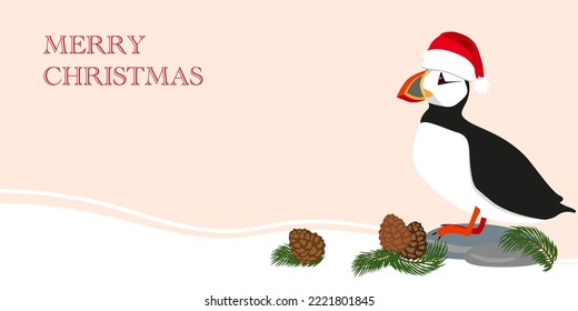 Atlantic Puffin Standing on the Rocks in snowy winter Christmas , Pine-tree branch, Pinecone. Arctic shore seabird, ocean coast inhabitants. Merry Christmas holiday. Flat vector illustration.