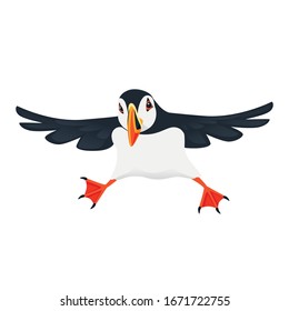 Atlantic puffin bird cartoon animal design flat vector illustration isolated on white background svg