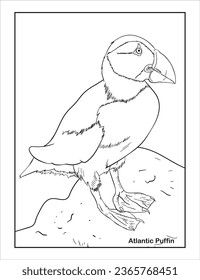 Atlantic Puffin Bird coloring page svg