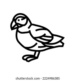 atlantic puffin bird exotic line icon vector. atlantic puffin bird exotic sign. isolated contour symbol black illustration