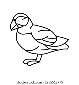 atlantic puffin bird exotic line icon vector. atlantic puffin bird exotic sign. isolated contour symbol black illustration svg