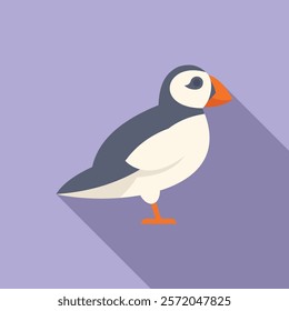 Atlantic puffin bird standing with big beak icon