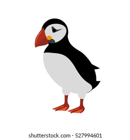 Atlantic Puffin isolated on white background. Vector illustration