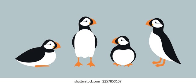 Atlantic puffin logo.  Isolated puffin on white background svg