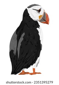 The Atlantic Puffin. Realistic Fratercula arctica or common puffin birds. Vector birds	 svg