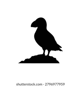 Atlantic puffin silhouette icon vector flat design.