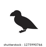 Atlantic puffin silhouette. Isolated Atlantic puffin on white background. Bird. EPS 10. Vector illustration