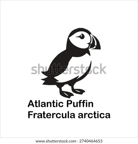 Atlantic Puffin Silhouette Vector Illustration with Scientific Name Fratercula arctica