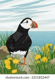 Atlantic puffin sits on a rocky ocean shore in thickets of grass and yellow flowers. Scandinavian bird Fratercula arctica or common puffin. Realistic vector vertical landscape svg