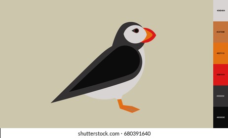 Atlantic puffin vector illustration