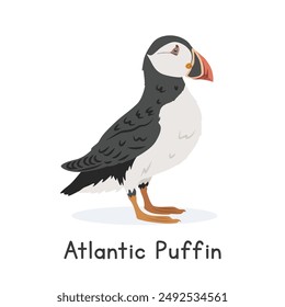 Atlantic puffin vector illustration, cartoon clipart character, animal in flat style. Wild animals, avian, birds concept. Common puffin or Atlantic puffin vector design isolated on white