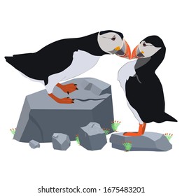 Atlantic puffins. Vector image on a white background. Cute image of birds for shirts, bags, jackets.
