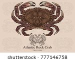 Atlantic Rock Crab. Vector illustration with refined details and optimized stroke that allows the image to be used in small sizes (in packaging design, decoration, educational graphics, etc.)