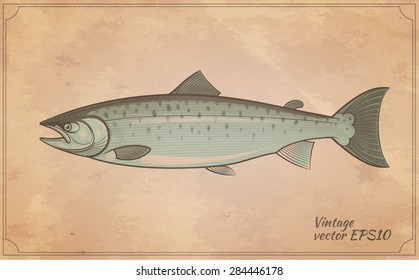 Atlantic Salmon Fish Outline Vintage Style Zoology Vector Illustration