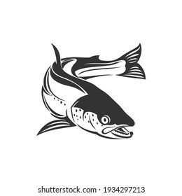 Atlantic salmon ray-finned fish e isolated monochrome icon. Vector trout, char, grayling whitefish fishing sport trophy, fishery mascot. Underwater animal, salmon freshwater fish, seafood, marine food
