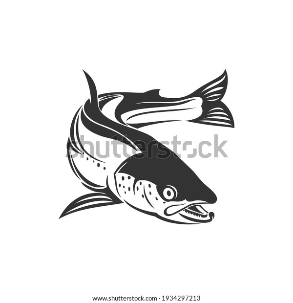 Atlantic salmon ray-finned fish e isolated\
monochrome icon. Vector trout, char, grayling whitefish fishing\
sport trophy, fishery mascot. Underwater animal, salmon freshwater\
fish, seafood, marine\
food