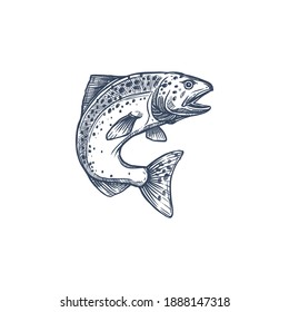 Atlantic salmon ray-finned fish in family Salmonidae isolated monochrome sketch. Vector trout, char, grayling and whitefish in jump, fishing sport trophy. Underwater animal, salmon hand drawn