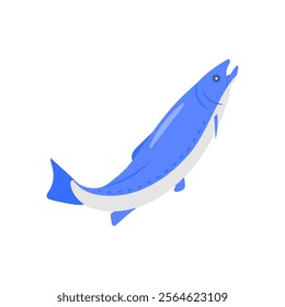 Atlantic Salmon Seafood Vector Illustration, Isolated