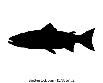 Atlantic salmon silhouette. Vector illustration.