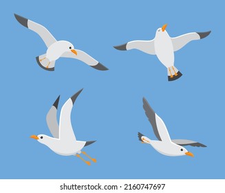 Atlantic sea bird fly at sky, set of white gull. Vector seagull fly with white feather, seabird and gull illustration