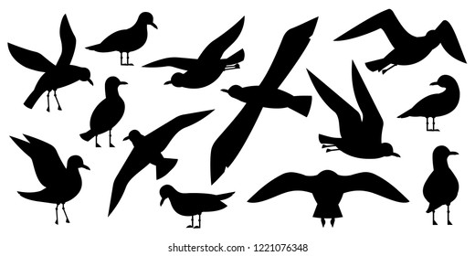 Atlantic seabird, seagulls black silhouette set on white background. Sea, Ocean, Gull, bird in a vector flat style 