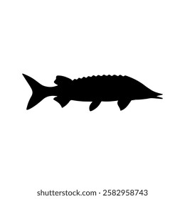 Atlantic sturgeon fish silhouette vector flat illustration design on white background.