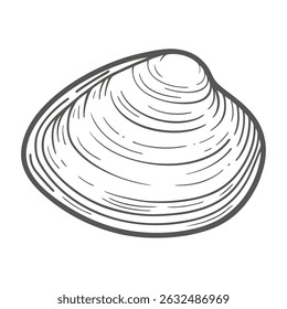Ilustração de arte da linha de moluscos de surf atlântico