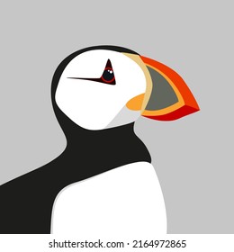 Atlantic puffin’s head flat vector illustration. North fauna, wildlife. Written Puffin. Red Book bird.  Arctic shore seabird, ocean coast inhabitants isolated on grey background.