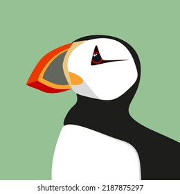Atlantic puffin’s head flat vector illustration. North fauna, wildlife. Written Puffin. Red Book bird.  Arctic shore seabird, ocean coast inhabitants isolated on green background.