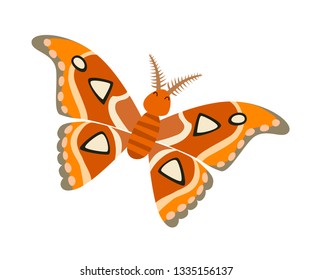 Atlas moth icon vector illustration. Cartoon style partridge animals, isolated on a white background