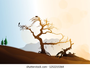 Atmosphere on the mountain Sunshine Impacted dead tree The perennial sown on top of a single hill.
