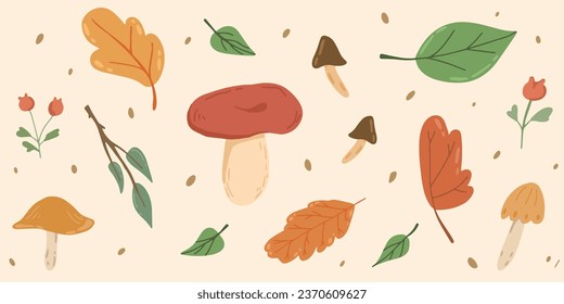 Atmospheric set of autumn leaves and mushrooms, isolated on light background
