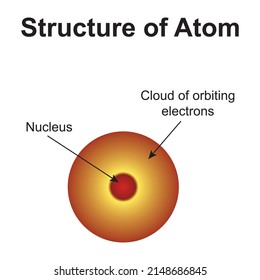 AN atom consists of a nucleus surrounded by an electron cloud the danse positively charged nucleus contains most of the atom's mass vector illustraion symbol sience biology