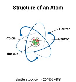 atom structure model. nucleus of protons and neutrons. orbital electrons. vector illustration isolated on white background.