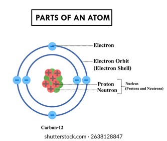 Atom structure model.Electron, nucleus of protons and neutrons and shells.Carbon 12 atom diagram.Atom molecule structure.Orbital electrons.
.Education for science or chemistry.Vector illustration.