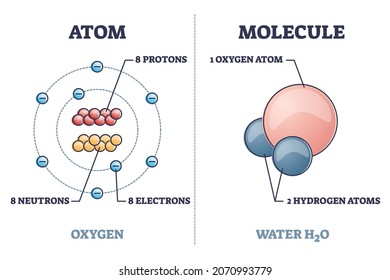 Atom vs molecule structural differences with oxygen and water outline diagram. Labeled educational microscopic chemical elements with protons, electrons and neutrons compounds vector illustration.