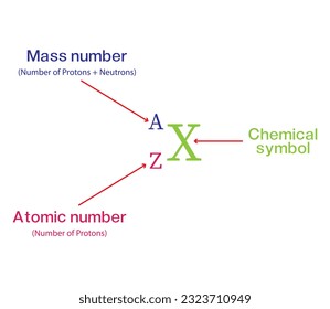 Atomic number calculate: mass number, atomic number and chemical symbol. Vector illustration.