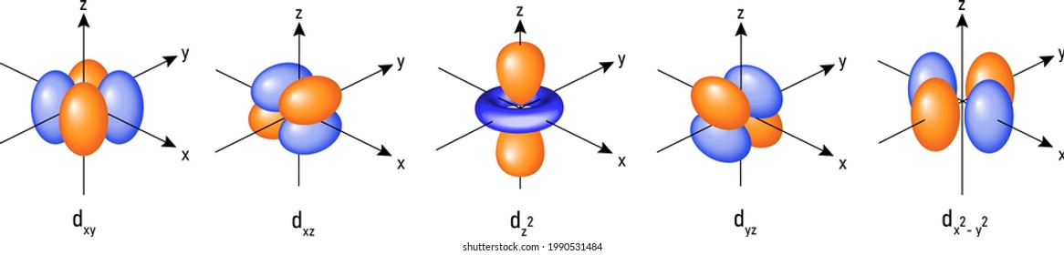 Atomic orbitals: d orbitals structure in 3D vector