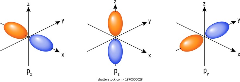 Atomic orbitals: p orbitals structure in 3D vector