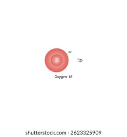 Atomic structure of Oxygen-16 isotope – schematic diagram showing 8 protons, 8 neutrons, and 8 electrons