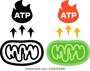 ATP synthesis mitochondrial monochrome icon