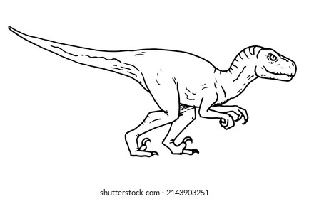 Atrociraptor dinosaur vector stock illustration.