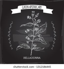 Atropa belladonna aka belladonna or deadly nightshade sketch on black. Green apothecary series. Great for traditional medicine, or gardening.