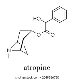 Atropine deadly nightshade (Atropa belladonna) alkaloid molecule. Medicinal drug and poison also found in Jimson weed (Datura stramonium) and mandrake (Mandragora officinarum). Skeletal formula.