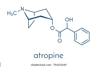 Atropine deadly nightshade (Atropa belladonna) alkaloid molecule. Medicinal drug and poison also found in Jimson weed (Datura stramonium) and mandrake (Mandragora officinarum). Skeletal formula.