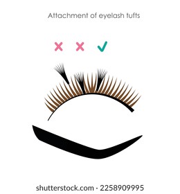 attaching lash tufts to natural lashes, lash extension tutorial